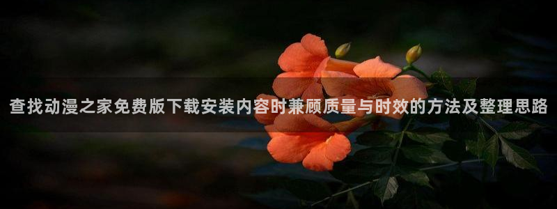 名侦探柯南动漫