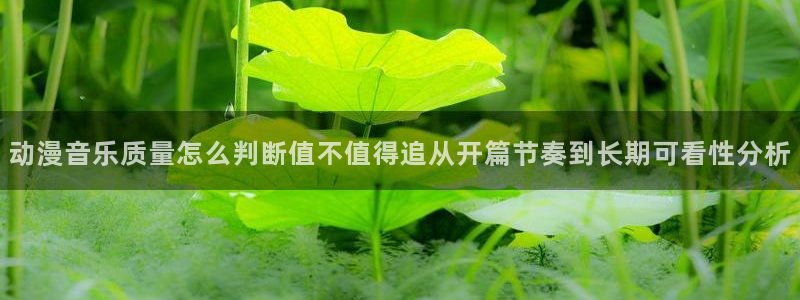 好看的国产动漫推荐:动漫音乐质量怎么判断值不值得追从开篇节奏到长期可看性分析