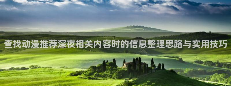 漫岛动漫:查找动漫推荐深夜相关内容时的信息整理思路与实用技巧