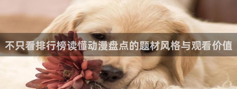 动漫之家软件下载