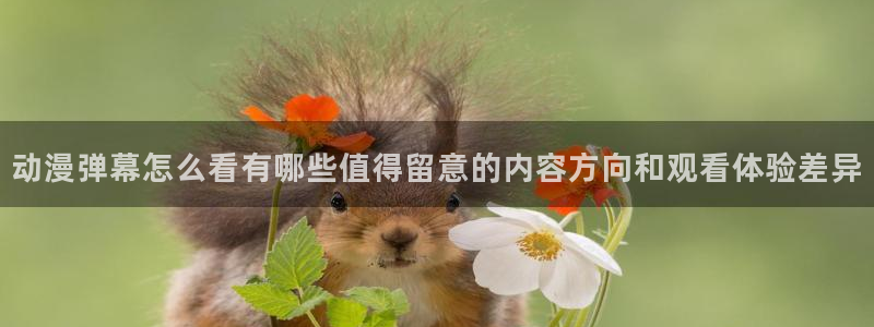动漫网站推荐:动漫弹幕怎么看有哪些值得留意的内容方向和观看体验差异