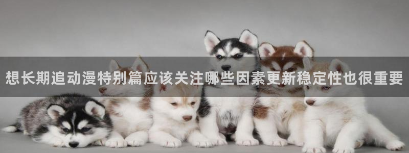 其他动漫动漫之家：想长期追动漫特别篇应该关注哪些因素更新稳定性也很重要